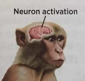 neuron.jpg