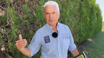 423413212.gif