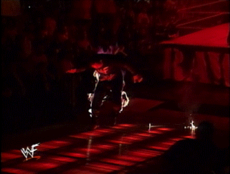 243241231.gif
