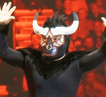 el-torito-cropped.jpg