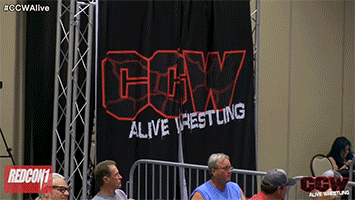 324235.gif
